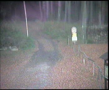 Snímek 7.11.2025 v 16:30