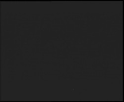 Nástup na běžecké tratě