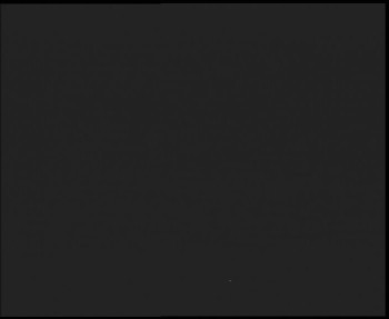 Snímek 7.11.2025 v 17:00