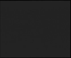 Nástup na běžecké tratě