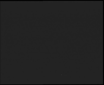 Snímek 7.11.2025 v 17:15