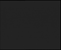 Nástup na běžecké tratě