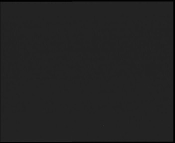 Snímek 7.11.2025 v 17:45