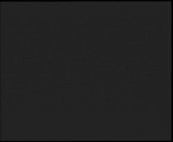 Nástup na běžecké tratě