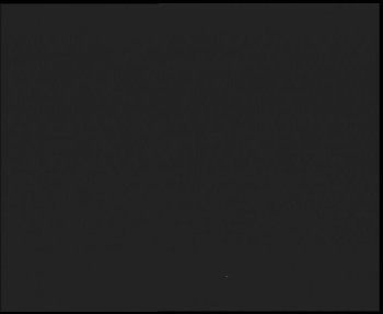 Snímek 7.11.2025 v 19:15