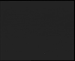 Nástup na běžecké tratě