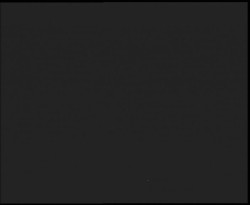 Nástup na běžecké tratě