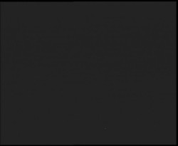 Nástup na běžecké tratě