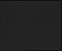 Nástup na běžecké tratě