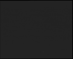 Nástup na běžecké tratě