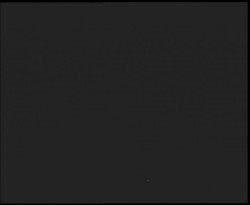 Nástup na běžecké tratě