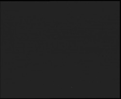 Nástup na běžecké tratě