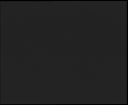 Nástup na běžecké tratě