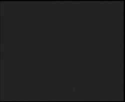 Nástup na běžecké tratě