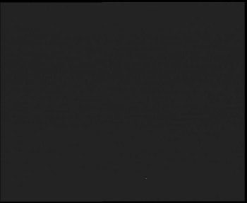 Snímek 7.11.2025 v 23:45