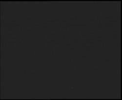 Nástup na běžecké tratě