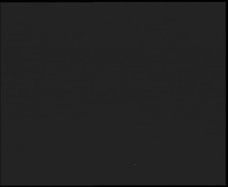 Nástup na běžecké tratě