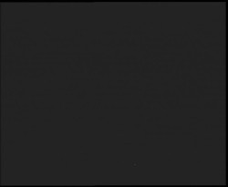 Nástup na běžecké tratě