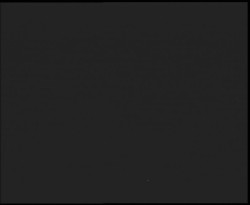 Nástup na běžecké tratě