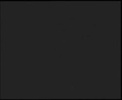 Nástup na běžecké tratě