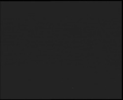 Nástup na běžecké tratě