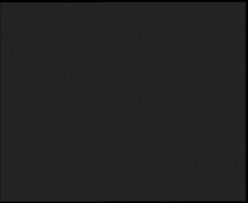 Snímek 8.11.2025 v 04:45