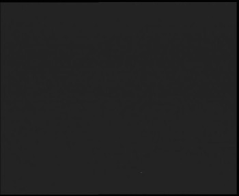 Snímek 8.11.2025 v 05:30