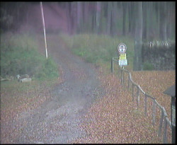 Nástup na běžecké tratě