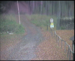 Nástup na běžecké tratě