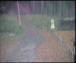 Nástup na běžecké tratě