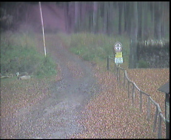 Snímek 8.11.2025 v 08:30