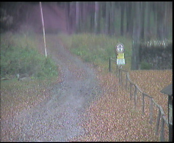 Snímek 8.11.2025 v 09:15