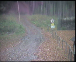 Nástup na běžecké tratě