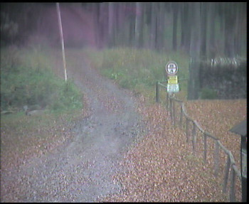 Snímek 8.11.2025 v 09:30