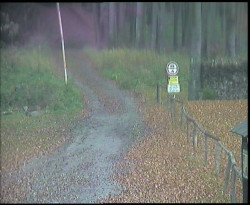 Nástup na běžecké tratě