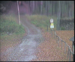 Nástup na běžecké tratě