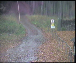 Nástup na běžecké tratě