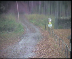 Nástup na běžecké tratě