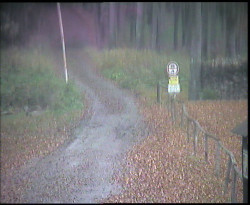 Nástup na běžecké tratě