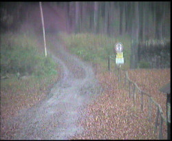 Nástup na běžecké tratě