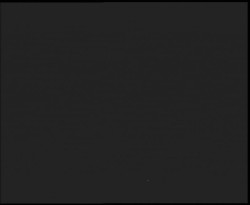 Nástup na běžecké tratě