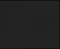 Nástup na běžecké tratě