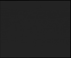 Nástup na běžecké tratě