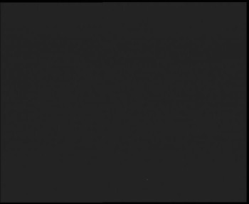 Snímek 8.11.2025 v 19:15