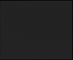 Nástup na běžecké tratě