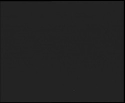 Nástup na běžecké tratě