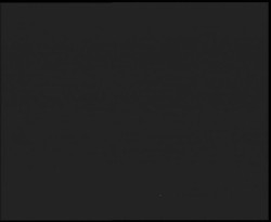 Nástup na běžecké tratě