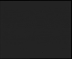 Nástup na běžecké tratě