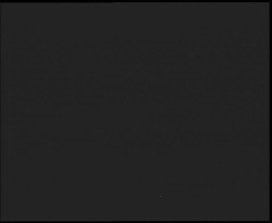 Nástup na běžecké tratě