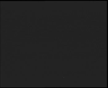 Snímek 8.11.2025 v 21:15